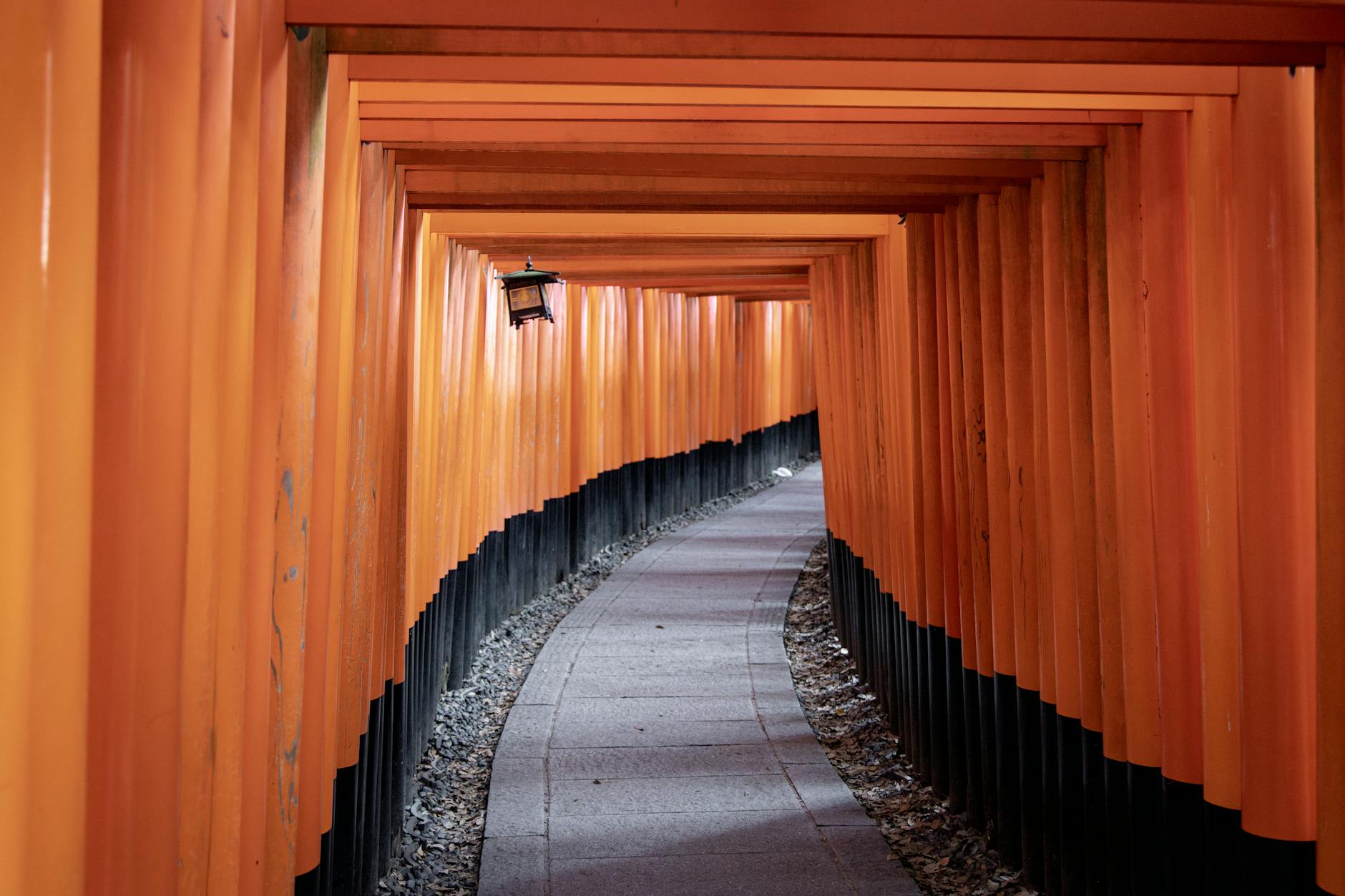 pathway along a red and black archway