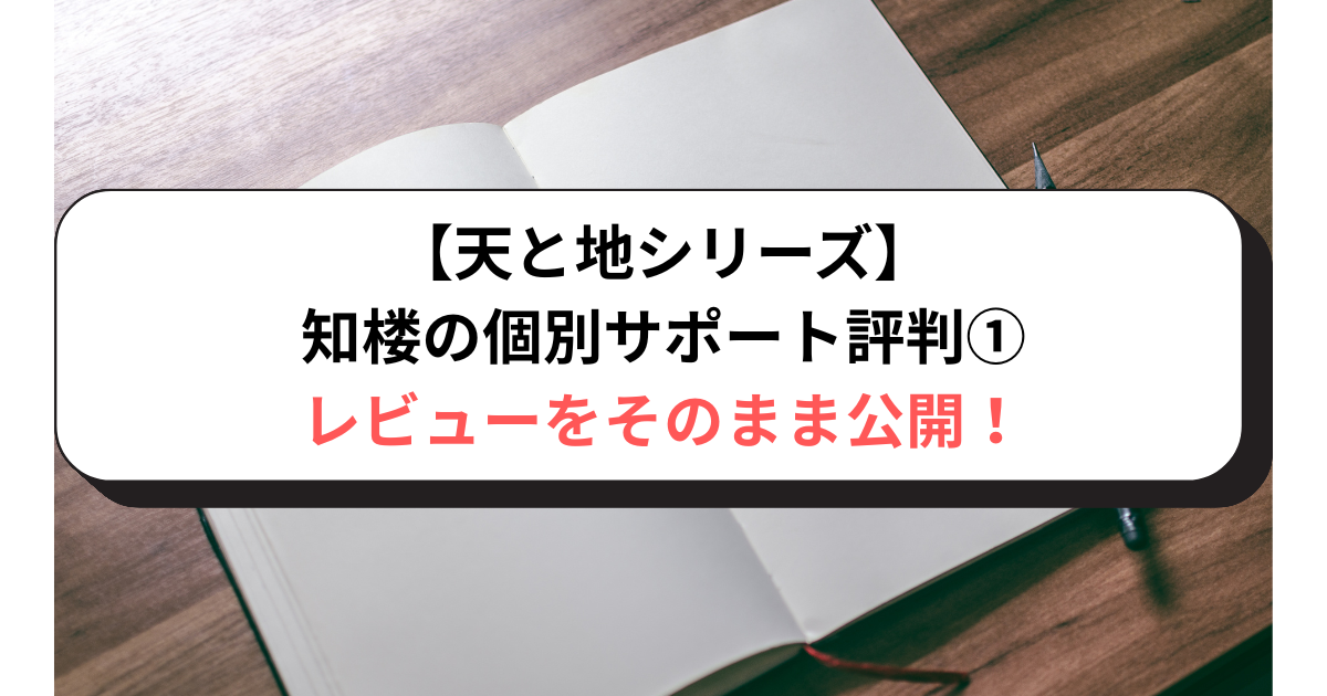 【天と地シリーズ】知楼の個別サポート評判①レビューをそのまま公開！