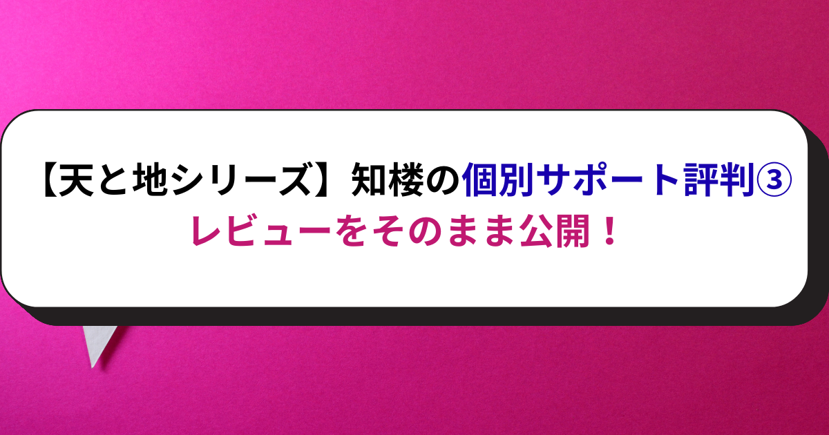 【天と地シリーズ】知楼の個別サポート評判③レビューをそのまま公開！